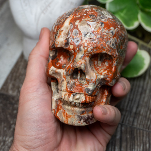 Red Rhyolite Skull Large