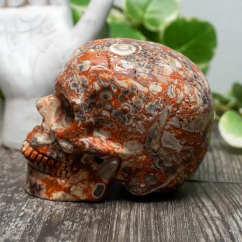 Red Rhyolite Skull Large