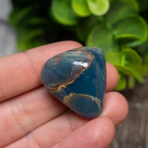 Blue Onyx Polished #11