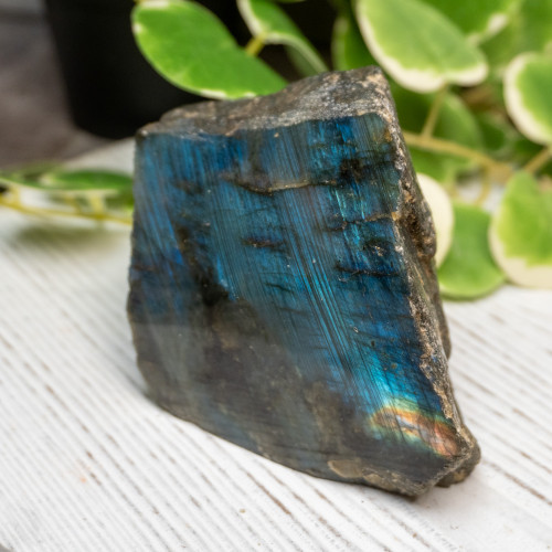 Half Polished Labradorite #13