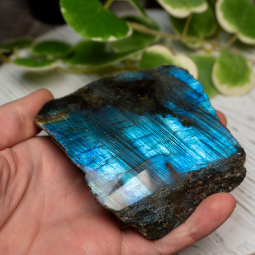 Half Polished Labradorite #13