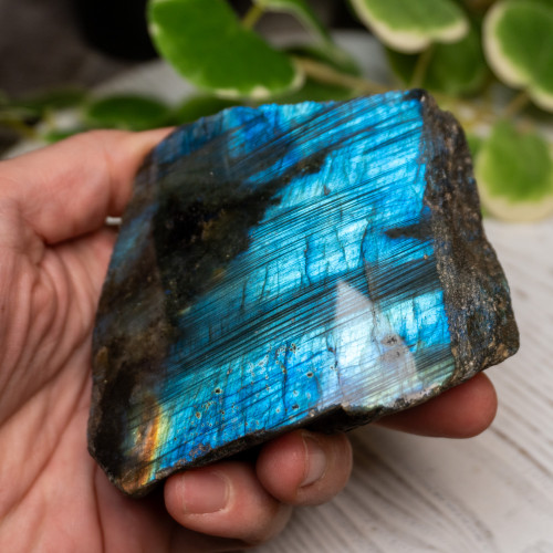 Half Polished Labradorite #13