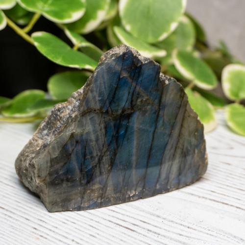 Half Polished Labradorite #12