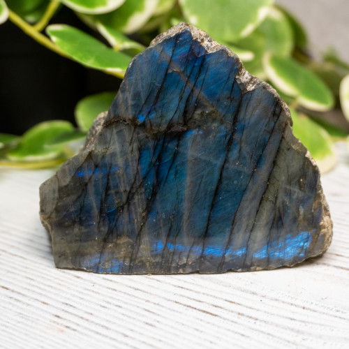 Half Polished Labradorite #12