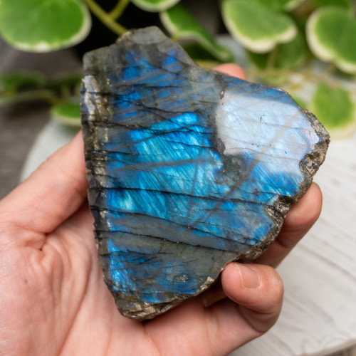 Half Polished Labradorite #12