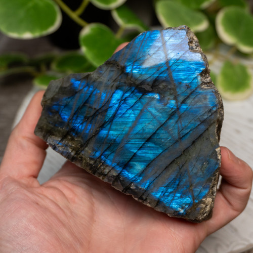 Half Polished Labradorite #12