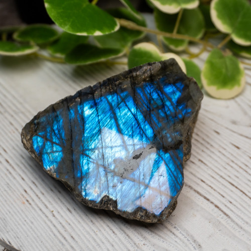 Half Polished Labradorite #12