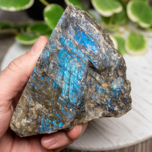 Half Polished Labradorite #12