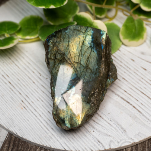 Half Polished Labradorite #10