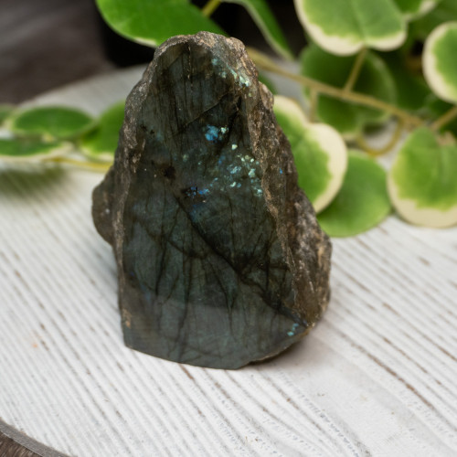 Half Polished Labradorite #10