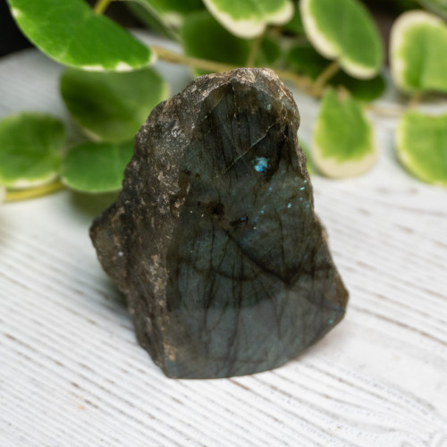 Half Polished Labradorite #10