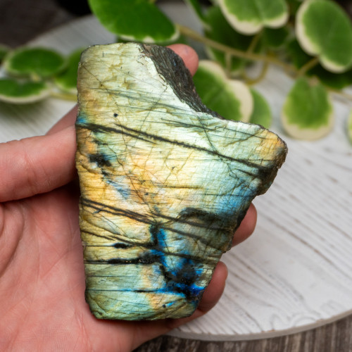 Half Polished Labradorite #11