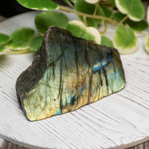 Half Polished Labradorite #11