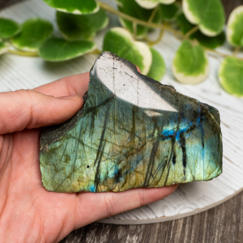 Half Polished Labradorite #11