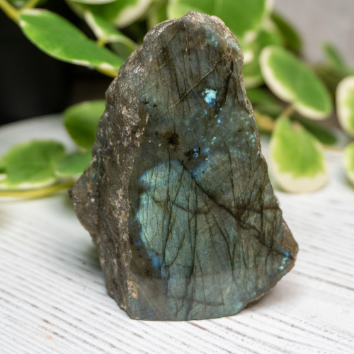 Half Polished Labradorite #10