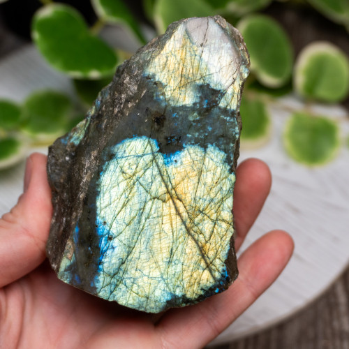 Half Polished Labradorite #10