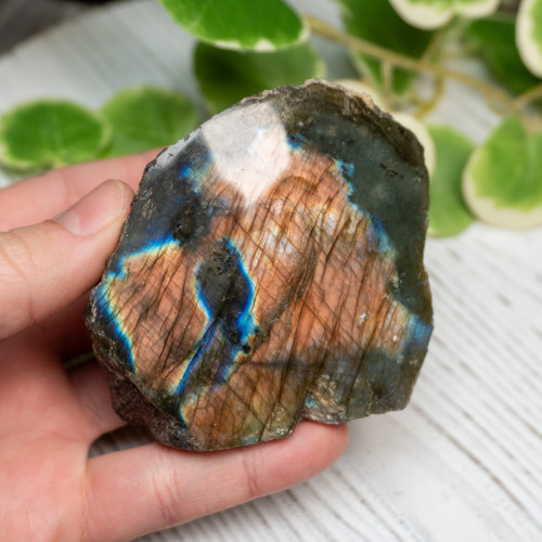 Half Polished Labradorite #9