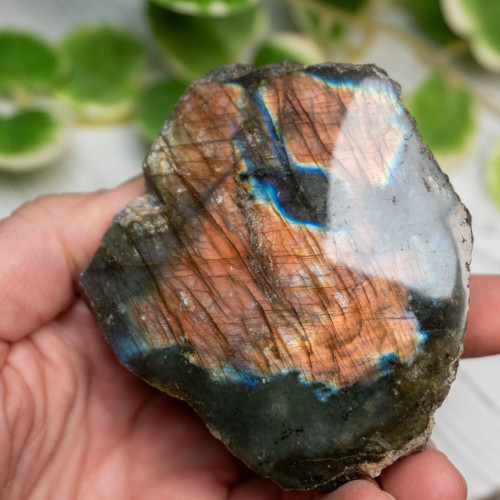 Half Polished Labradorite #9