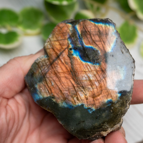 Half Polished Labradorite #9