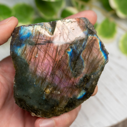 Half Polished Labradorite #9