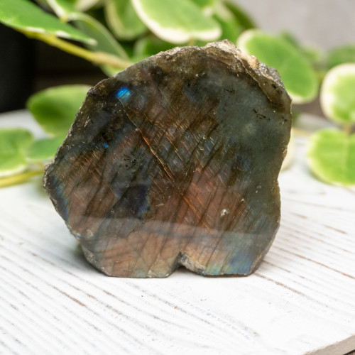 Half Polished Labradorite #9