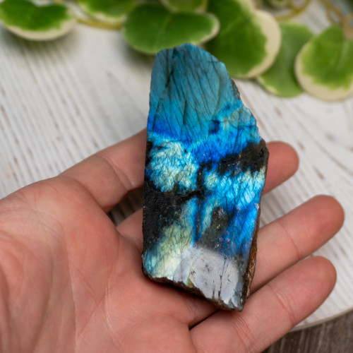 Half Polished Labradorite #8