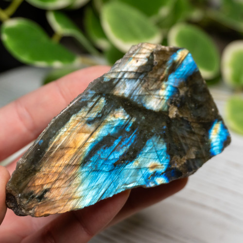 Half Polished Labradorite #7