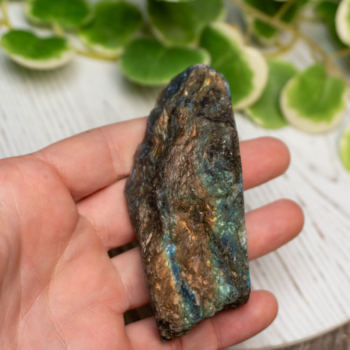 Half Polished Labradorite #8