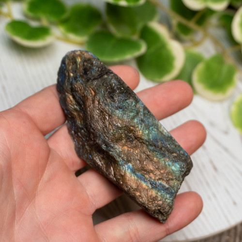 Half Polished Labradorite #8