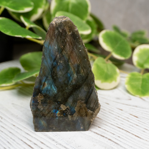 Half Polished Labradorite #7