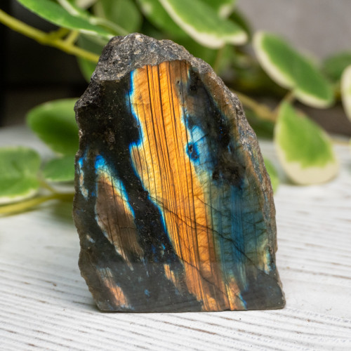 Half Polished Labradorite #6