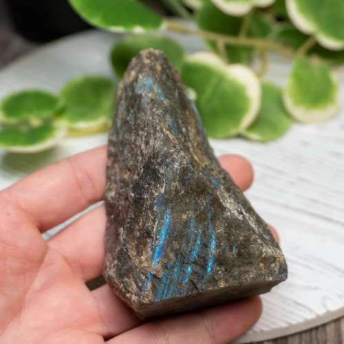 Half Polished Labradorite #7