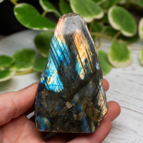 Half Polished Labradorite #7