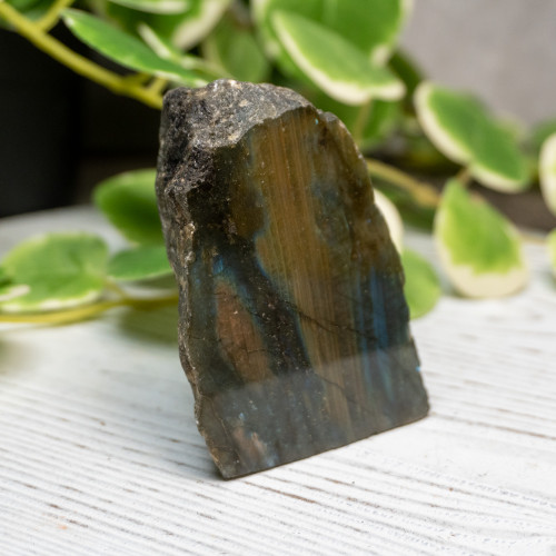 Half Polished Labradorite #6