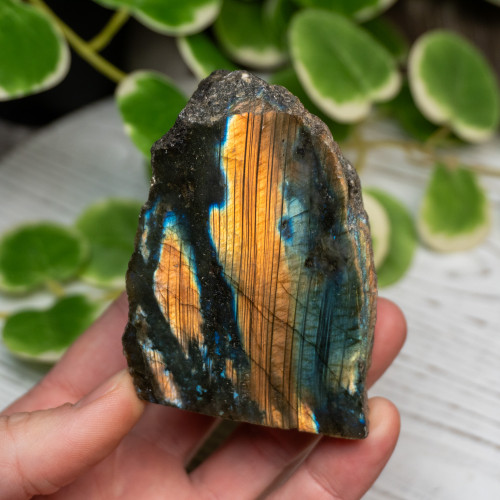 Half Polished Labradorite #6