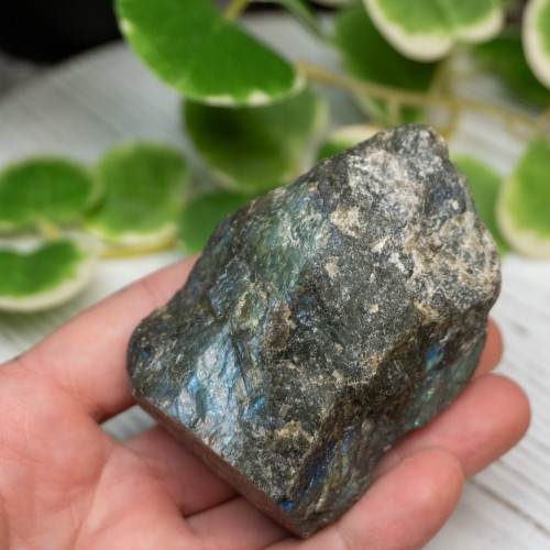 Half Polished Labradorite #5