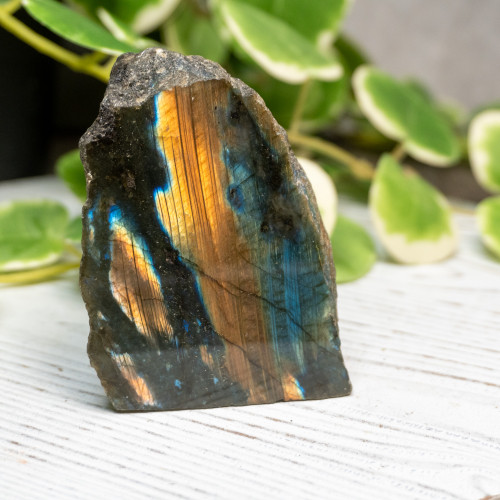 Half Polished Labradorite #6