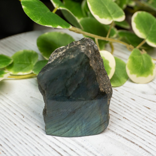 Half Polished Labradorite #5