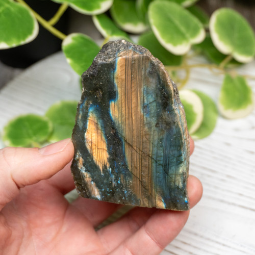 Half Polished Labradorite #6