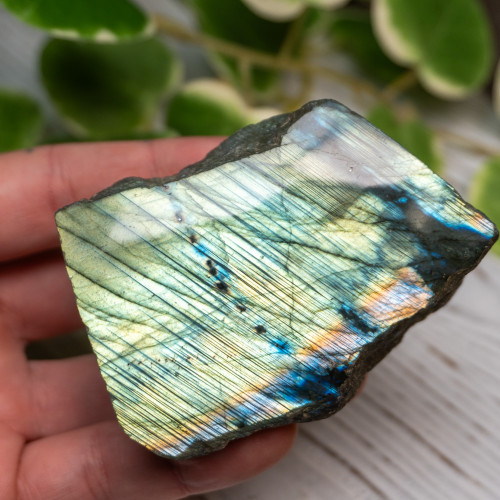 Half Polished Labradorite #5