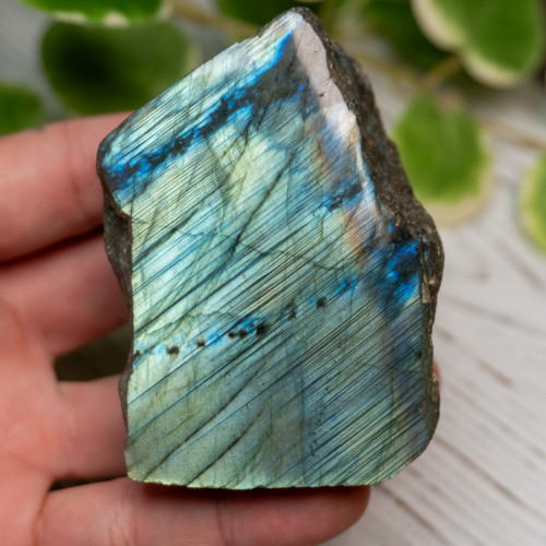 Half Polished Labradorite #5