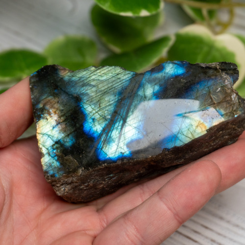 Half Polished Labradorite #4