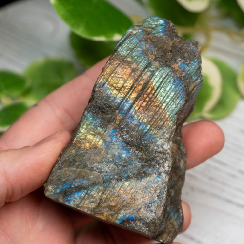 Half Polished Labradorite #4