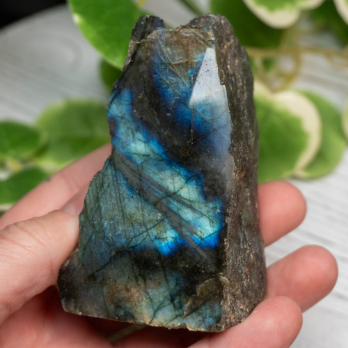 Half Polished Labradorite #4