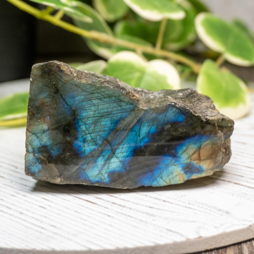 Half Polished Labradorite #4