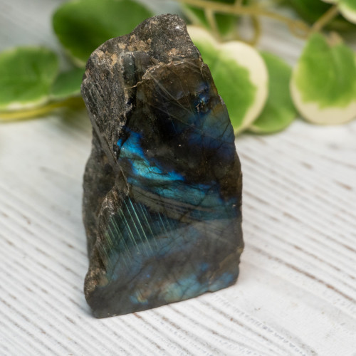 Half Polished Labradorite #4