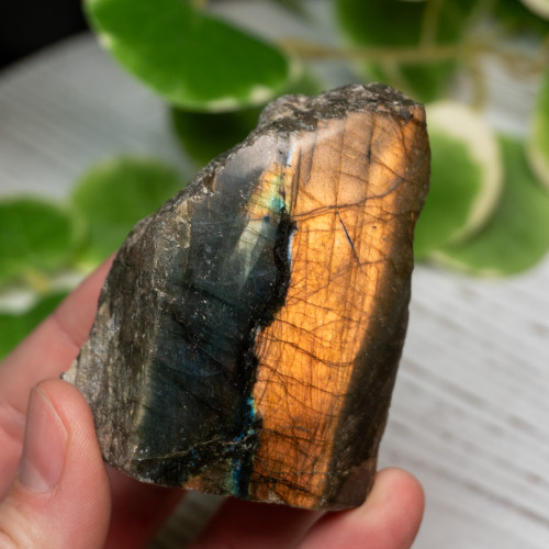 Half Polished Labradorite #3