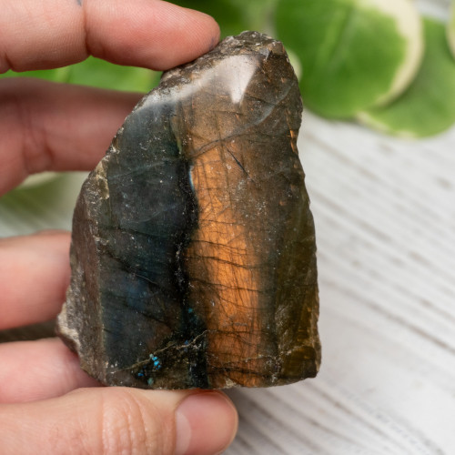 Half Polished Labradorite #3