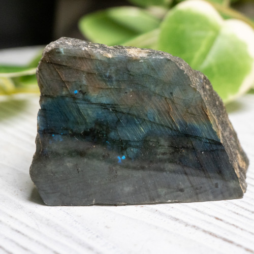 Half Polished Labradorite #2