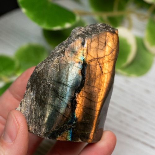 Half Polished Labradorite #3